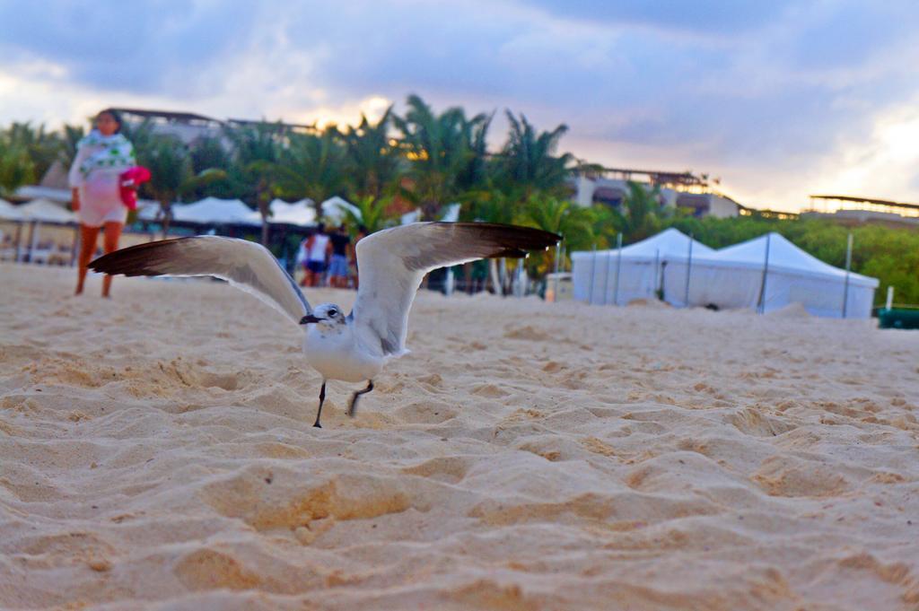 Shambala Eco Hostel Playa del Carmen Kültér fotó